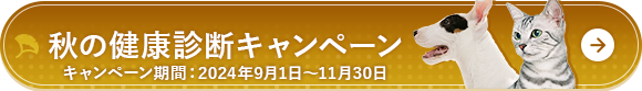 健康診断のご案内