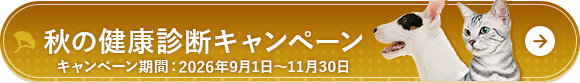 健康診断のご案内